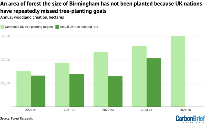 The UK government's downsized forest goals