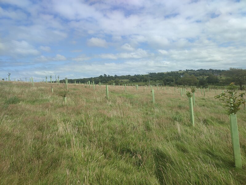 What Does Protect Earth Plant? Species Tailored to Each Habitat