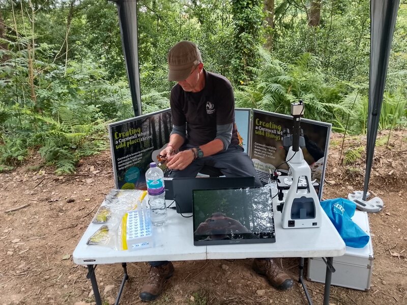 What Lies Beneath: A Citizen Science Peek into High Wood's Soil Life