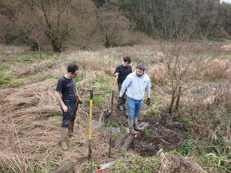 Warleigh Image 4
