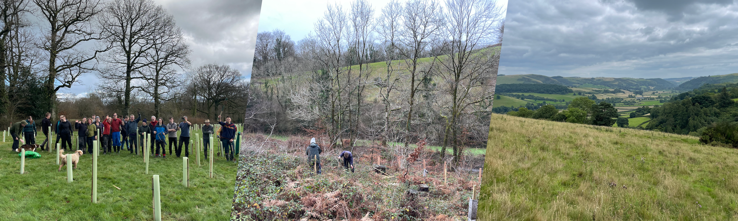 Three paths: People & Families, Businesses, Landowners