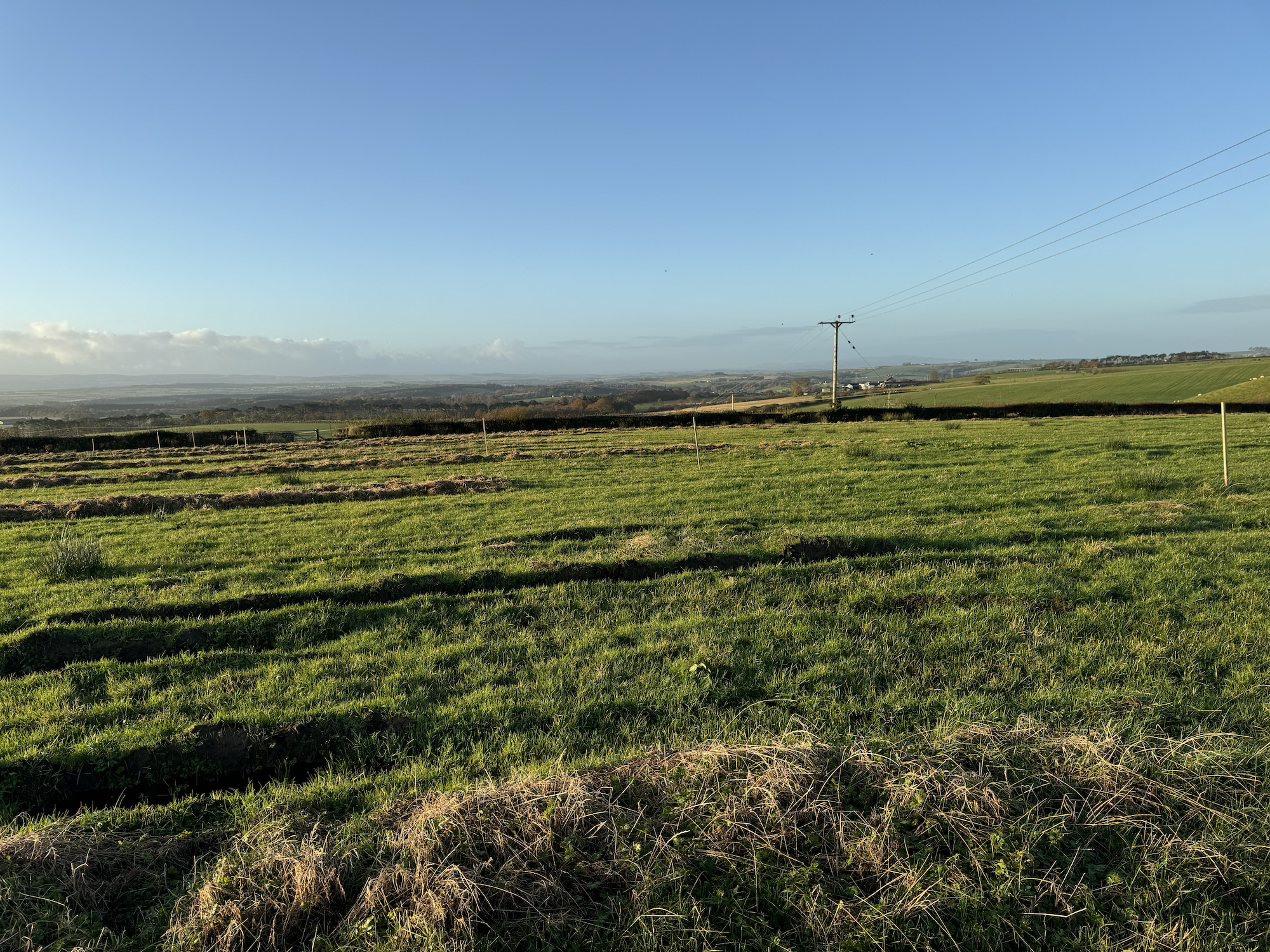 Open grassy field with scattered patches