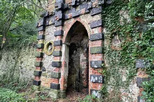 Appeal to save Bristol's secret wood goes national